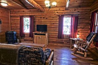 Secluded Luxury Cabin Getaway for Four Guests in Logan, Ohio - Logan - 3