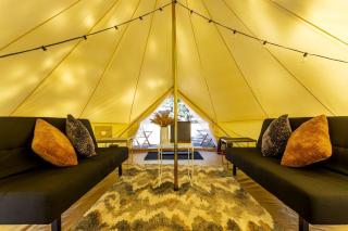Pioneering Pet-Friendly Glamping: Mt. Laguna's Original Nature Lovers' Retreat - Mount Laguna - 7