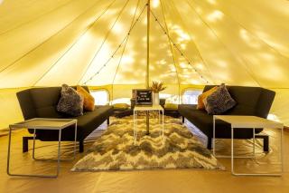 Pioneering Pet-Friendly Glamping: Mt. Laguna's Original Nature Lovers' Retreat - Mount Laguna - 5