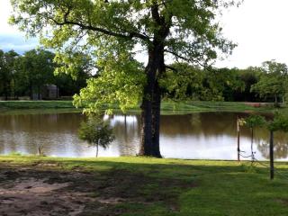 Cozy Cabin Rental on Vineyard in Allen, Oklahoma - - 6