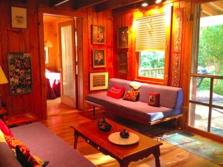 Charming Cabin with Serene Lake Views for a Family Getaway near Pittsfield, Massachusetts - Pittsfield - 7