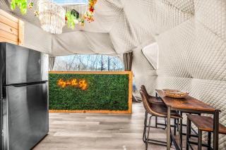 Cozy Dome for a Romantic Weekend in Tennessee - Cosby - 4