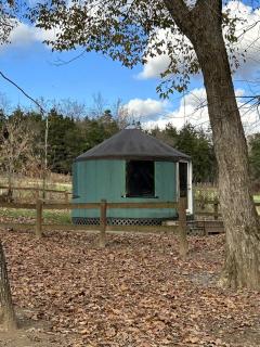 Beautiful Waterfront Yurt for Rent near Washington DC, Virginia - Luray - 1