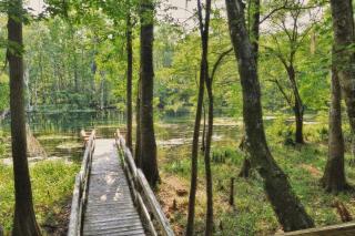Peaceful Pet-Friendly Cabin Rental on St. Marks River near Tallahassee, Florida - Crawfordville - 7