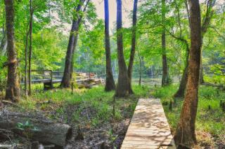 Peaceful Pet-Friendly Cabin Rental on St. Marks River near Tallahassee, Florida - Crawfordville - 4