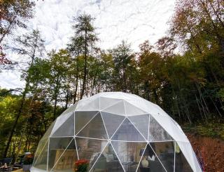 Fantastic Dome Rental for an Amazing Tennessee Glamping Experience - Cosby - 7