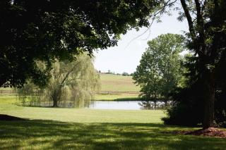 Charming Cottage Rental on a 50-Acre Historical Estate near Orange, Virginia - Orange - 9
