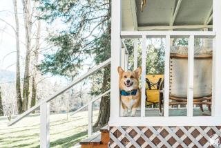 Spectacular Riverside Getaway Cabin with Claw Foot Bathtub in Castella, California - Dunsmuir - 8
