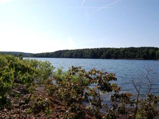 Lovely Waterfront Cabin Ideal for Weekend Getaway on Greers Ferry Lake, Arkansas - Heber Springs - 4