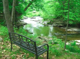 Idyllic Cottage Rental for Four in Woodstock, New York - Woodstock - 8