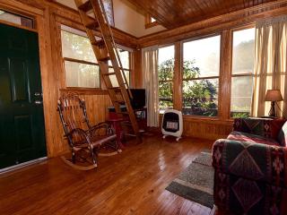 Romantic Riverfront Cabin with Pool Access in Blue Ridge, Georgia - Blue Ridge - 5