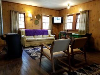 Delightful Waterfront Cabin with Views of Pine Lake near Wellston, Michigan - Wellston - 7