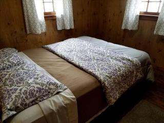 Delightful Waterfront Cabin with Views of Pine Lake near Wellston, Michigan - Wellston - 6