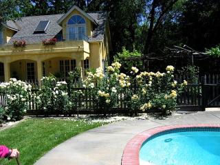 Romantic Getaway Cabin with a Pool and a Hot Tub in the Heart of Sonoma, California - Glen Ellen - 5