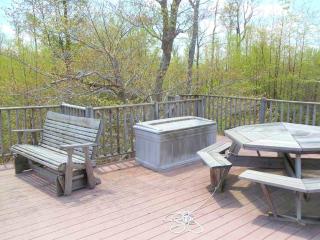Peaceful Cabin Rental for Groups on a Farm near Susquehannock State Forest, Pennsylvania - - 9
