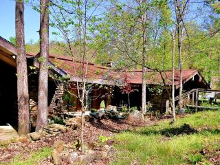 Fantastic Cabin Rental Perfect for a Family Vacation to Northwest Arkansas - Ponca - 7