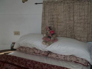Unique Glamping Rental with Amazing Hiking Trails near Gainesville, Florida - - 6