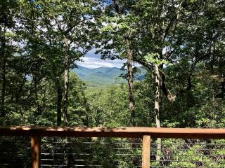 Charming Eco-Friendly Container for Glamping Getaway in the Blue Ridge Mountains, Georgia - Dahlonega - 1