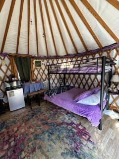 Unique Riverfront Yurt Rental near Washington, D.C. - Luray - 4