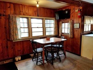Cozy Lakeside Cabin in Manistee National Forest, Michigan - Wellston - 5