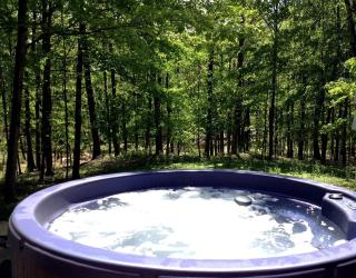 Cozy Two-Bedroom Cabin Rental with Hot Tub and Fireplace in Woodstock, New York - Woodstock - 6