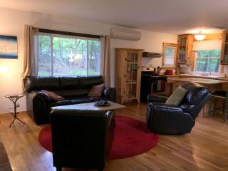 Cozy Two-Bedroom Cabin Rental with Hot Tub and Fireplace in Woodstock, New York - Woodstock - 5