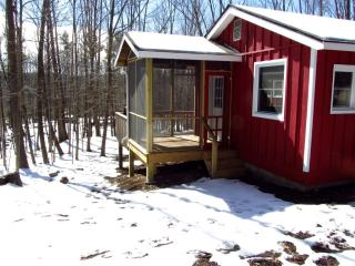 Cozy Two-Bedroom Cabin Rental with Hot Tub and Fireplace in Woodstock, New York - 4