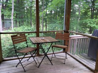 Cozy Two-Bedroom Cabin Rental with Hot Tub and Fireplace in Woodstock, New York - Woodstock - 2