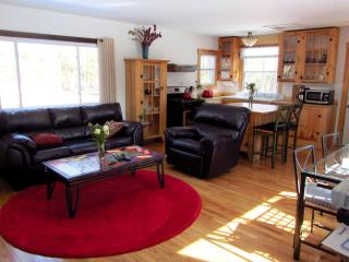 Cozy Two-Bedroom Cabin Rental with Hot Tub and Fireplace in Woodstock, New York - Woodstock - 1