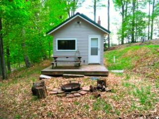 Rustic and Cozy Cabin Rental near Cherry Springs State Park, Pennsylvania - - 0