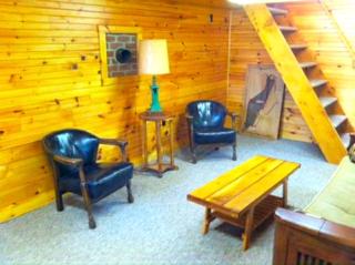 Rustic and Cozy Cabin Rental near Cherry Springs State Park, Pennsylvania - - 4