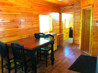 Rustic and Cozy Cabin Rental near Cherry Springs State Park, Pennsylvania - - 3