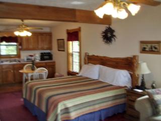 Charming Couples' Rental with Jacuzzi for Getaway to Ozarks near Eureka Springs, Arkansas - Eureka Springs - 2