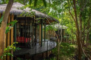 Sanctuary Kanchanaburi - Ban Ai Hit - 9