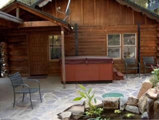 Cozy Log Cabin Rental with a Hot Tub near Nevada City, California - Nevada City - 7