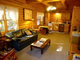 Cozy Log Cabin Rental with a Hot Tub near Nevada City, California - Nevada City - 6