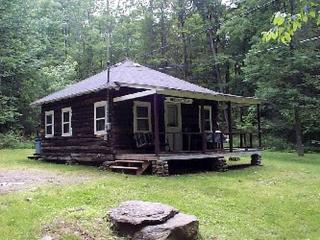 Lovely Log Cabin Rental in Harveys Lake Close to Scranton, Pennsylvania - Harveys Lake - 0