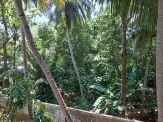 Lake House Home Stay - Anuradhapura - 3
