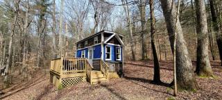 Georgia Glamping Escape for Two in this Lovely Tiny House in Suches - Suches - 3
