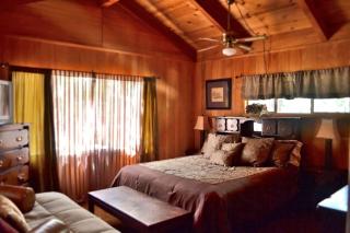 Creekside Cabin Surrounded by Woodlands in Idyllwild, California - Idyllwild - 5