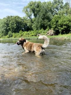 Riverside Cabin Rental near St. Louis, Missouri - - 8
