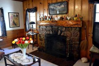 Cozy Cabin with Country Decor near San Jacinto Mountains, California - Idyllwild - 2