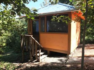 Relaxing Tiny Cabin on Organic Farm near Asheville, North Carolina - Weaverville - 9