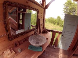 Relaxing Tiny Cabin on Organic Farm near Asheville, North Carolina - Weaverville - 6