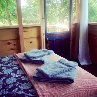 Relaxing Tiny Cabin on Organic Farm near Asheville, North Carolina - Weaverville - 2