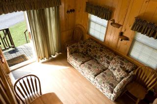 Deluxe Vacation Cabin Rentals in the Adirondacks near Saratoga Springs, New York - Corinth - 9