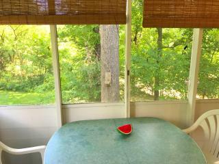 Secluded Riverside Cabin for a Peaceful Getaway near Mark Twain Forest, Missouri - - 3