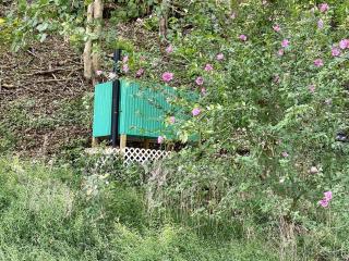 Lovely Tiny House Rental for a Romantic Getaway in Shepherdstown, West Virginia - Shepherdstown - 2