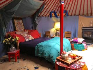 Authentic Mongolian Yurt for a Serene Healing Retreat in Saratoga Springs, New York - Saratoga Springs - 9