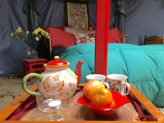 Authentic Mongolian Yurt for a Serene Healing Retreat in Saratoga Springs, New York - Saratoga Springs - 8